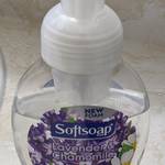 SoftSoap Foaming Soap Dispenser